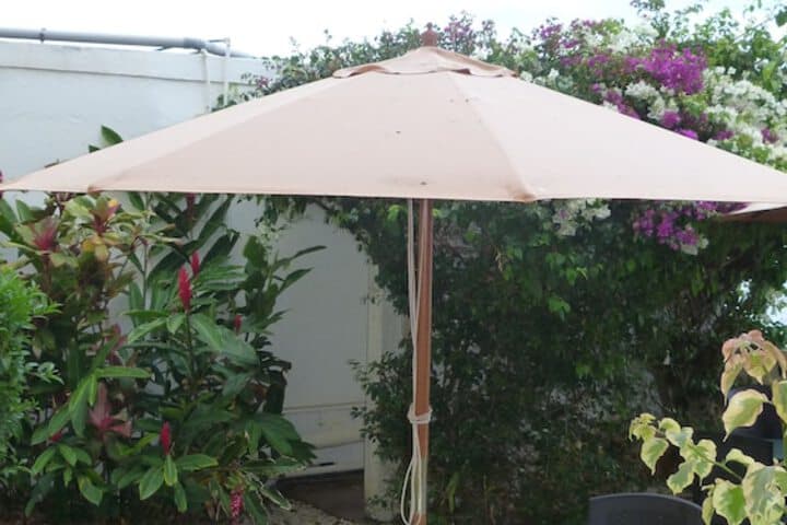 Le Cactus Guesthouse photo 3