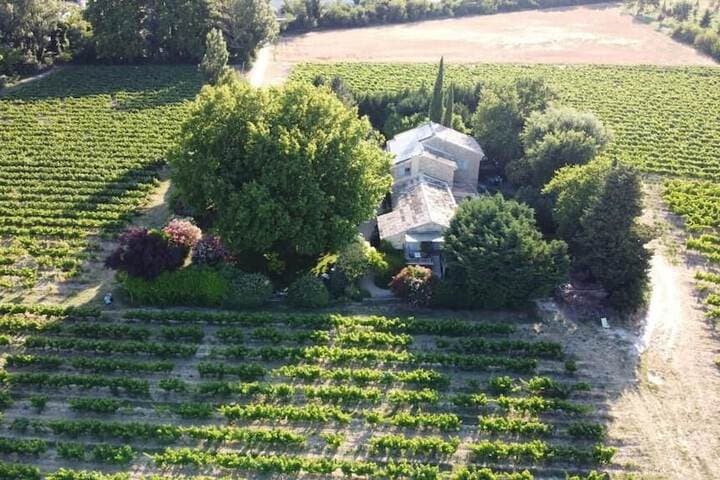 Mas du Clos de lEscarrat photo 3