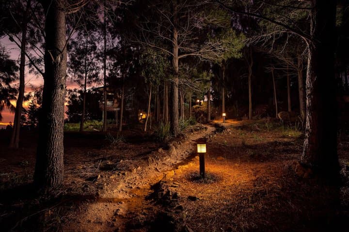 Lalapanzi Lodge photo 3