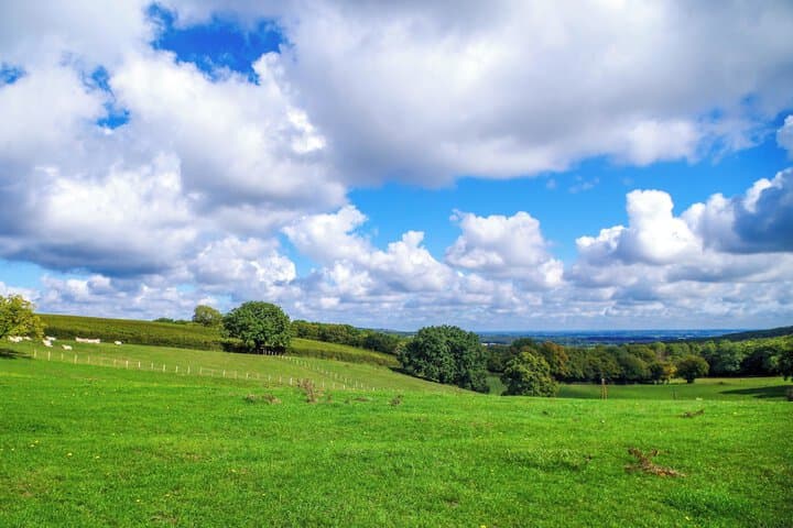 Domaine Joseph Lafarge photo 3