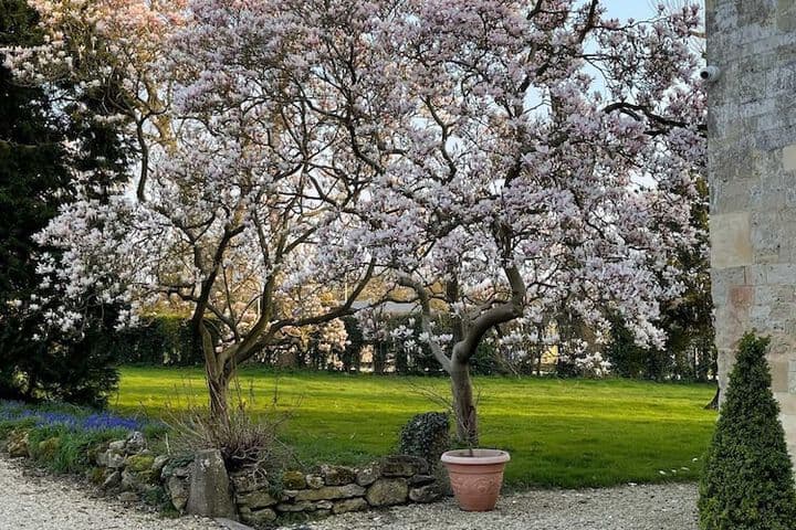 Hill Farm photo 5
