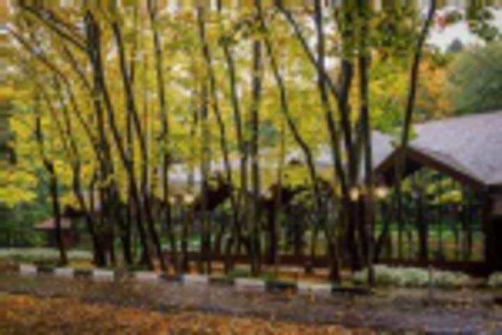 Volynskoye Congress Park photo 5