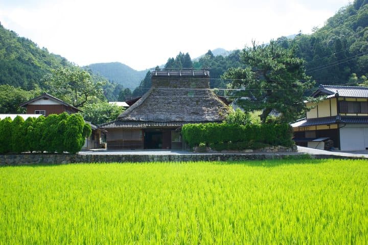 Sasari destination view