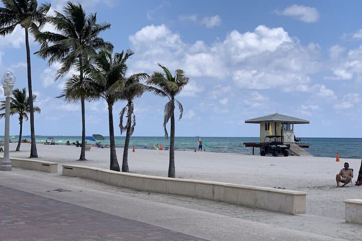 Hollywood Beach Seagull photo 2