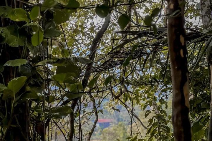 Secret Mountain Paradise photo 4
