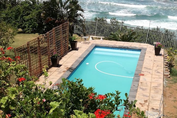 Dolphin Point photo 2