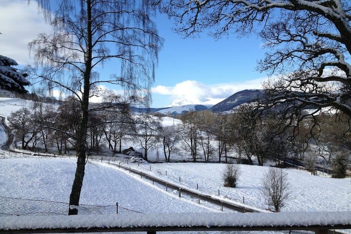 Brae House Bed & Breakfast photo 2