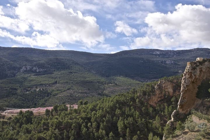 Masia La Mota photo 4