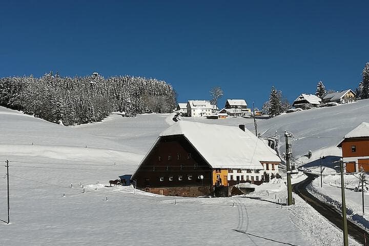 Gasthaus Pension Donishäusle photo 4