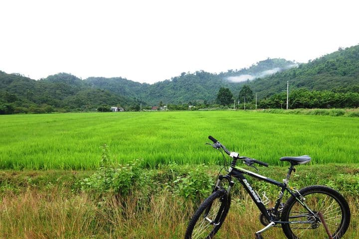 Cat Tien Farm Stay photo 3