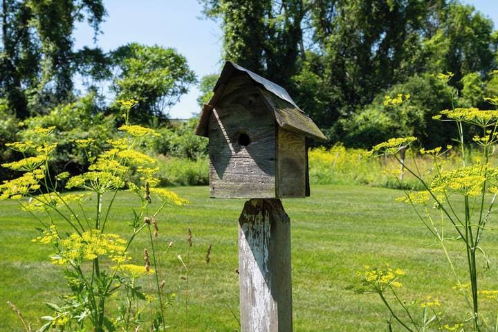 Red Fox Run B&B photo 3