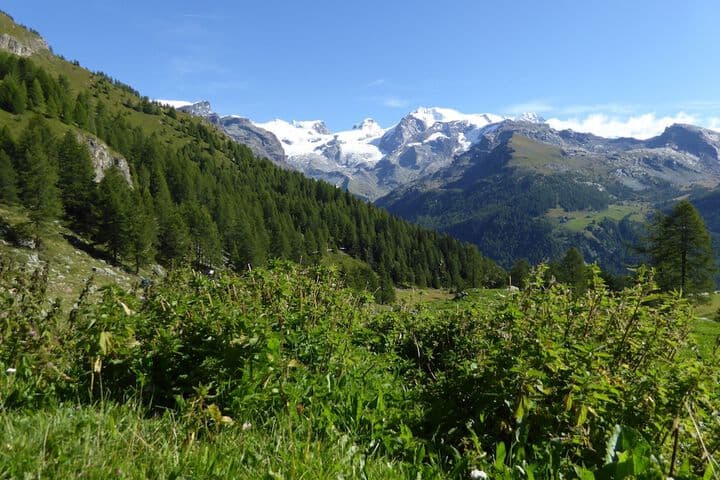 Le Chalet photo 1