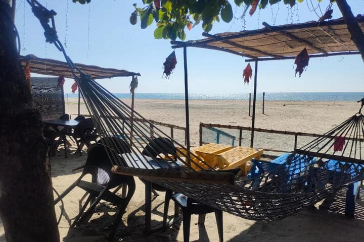 Dolphin Beach House photo 3