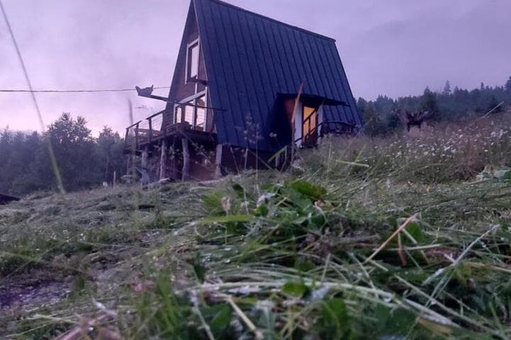 Oak House photo 2