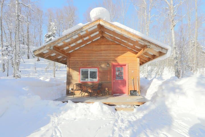 Birch Cabin photo 3