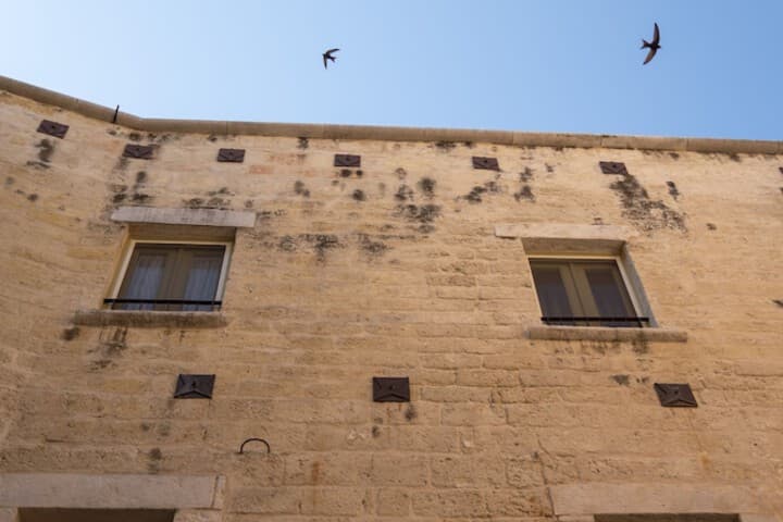 Palazzo Vittoria photo 2