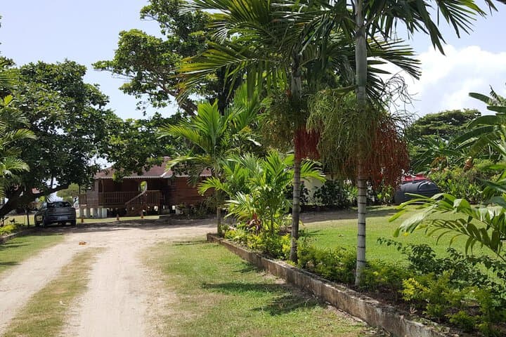 Ocho Rios Villa at Coolshade photo 3