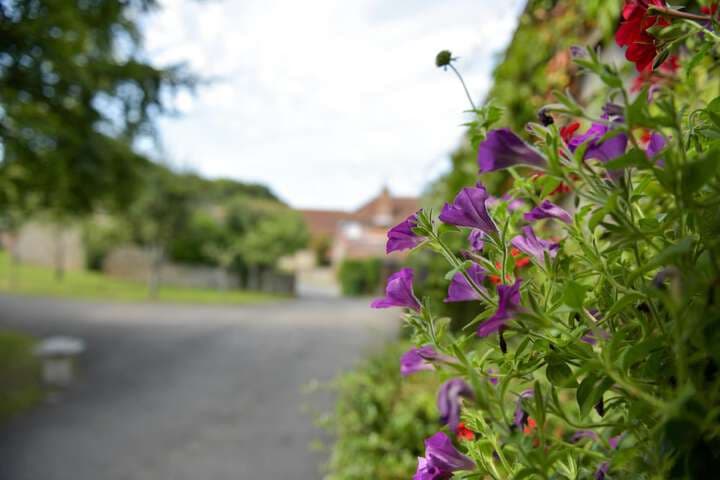 Selden Farm B&B photo 4