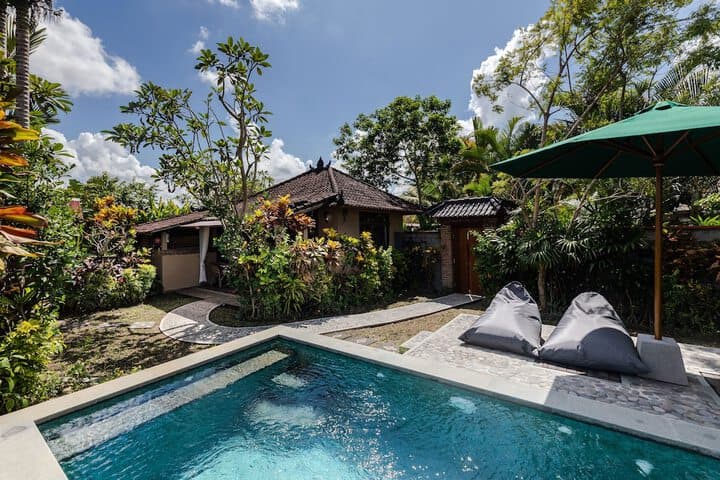 Devis Place photo 5