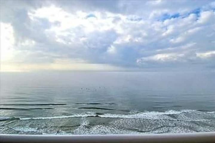Units at Bay Watch by Elliott Beach Rentals photo 4
