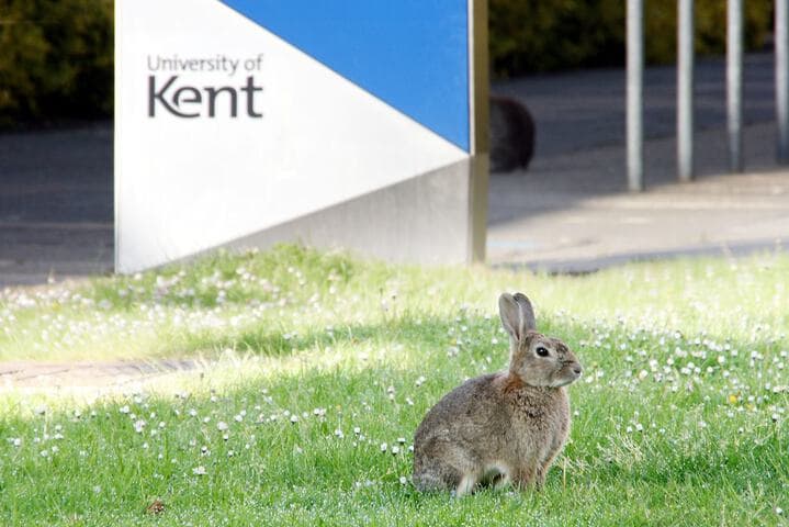 Becket Court University of Kent Campus Accommodation photo 2