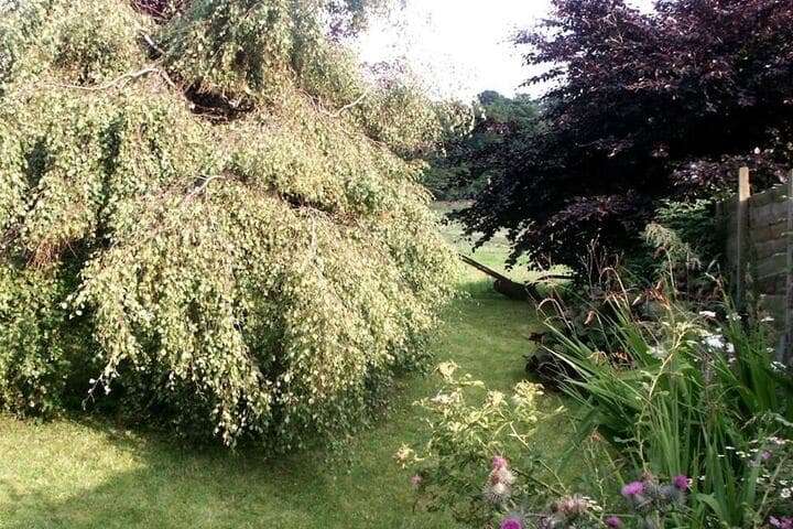 Temple Farmhouse B&B photo 3