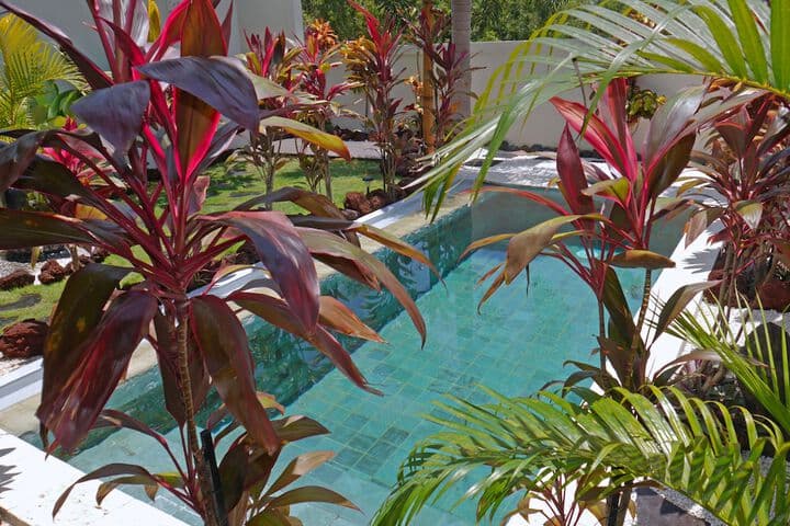 Hakuna Matata Bali Villas photo 3