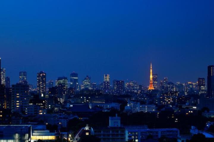 Grand Prince Hotel New Takanawa photo 4