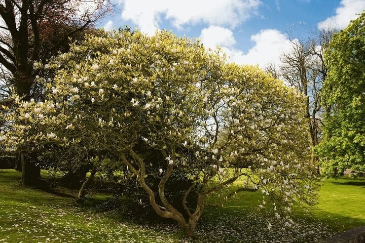 Portclew House photo 3