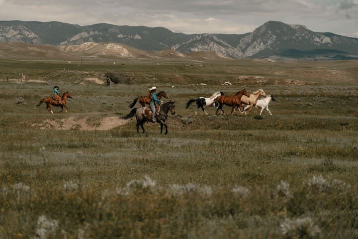 TA Ranch photo 5