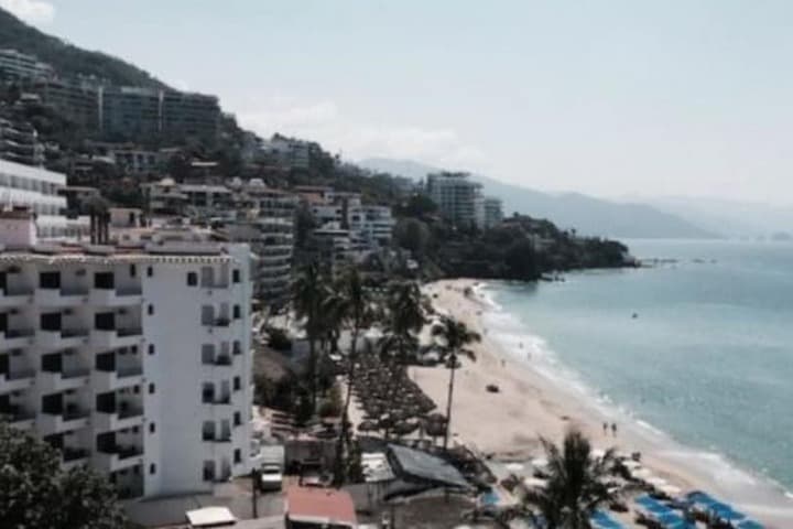 La Palapa photo 1