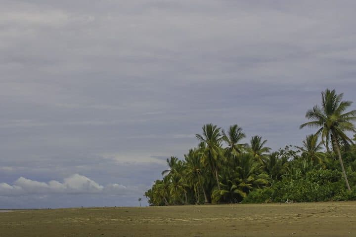 Villas Bungalows Ballena photo 3
