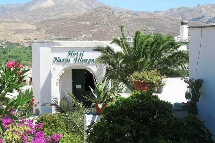 Hotel Naxos Filoxenia photo 4