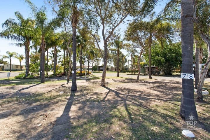 Goondiwindi Holiday Park photo 3