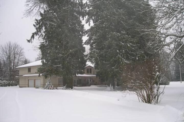 Cedar Wood Lodge B&B photo 5