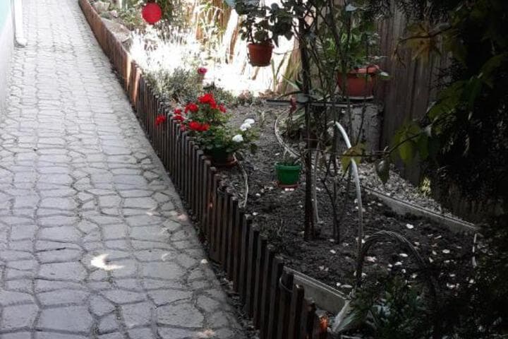 Casa Silvia photo 3