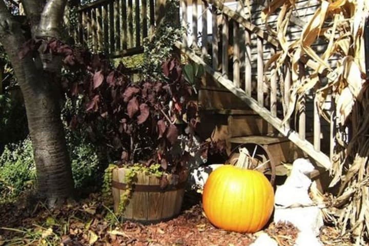 Boyden House Inn B&B photo 3