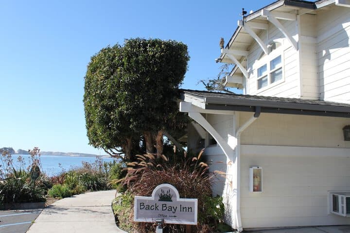 Back Bay Inn photo 4