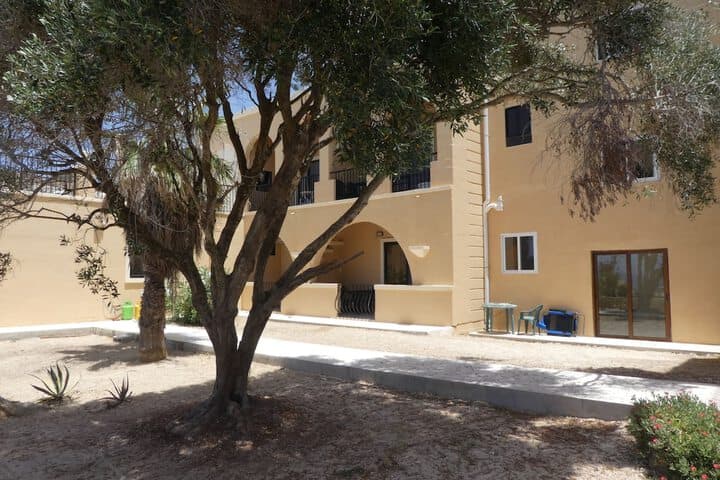 San Antonio Guest House photo 2