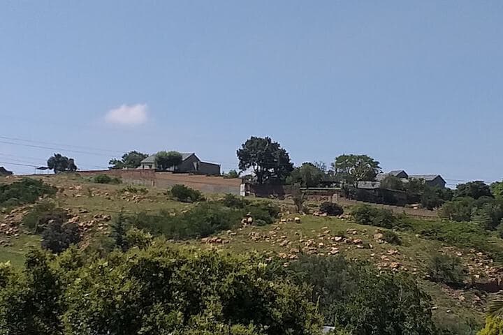 Agterplaas Guesthouse B&B photo 2