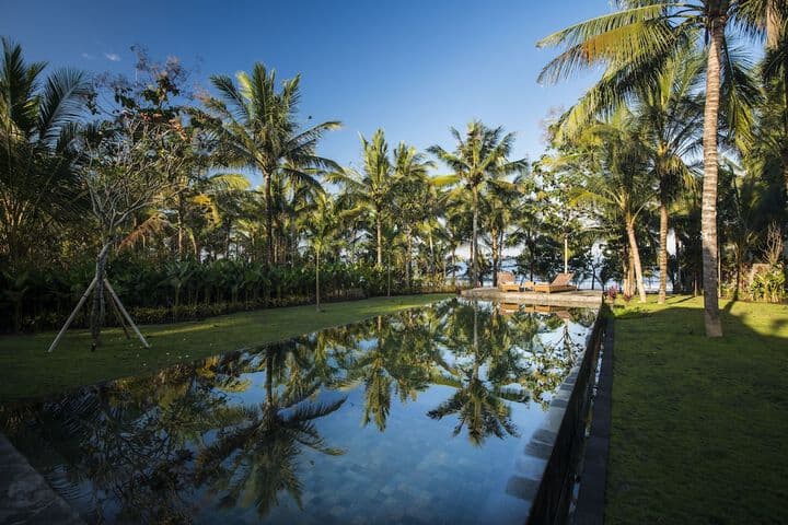 Melaya Estate photo 4
