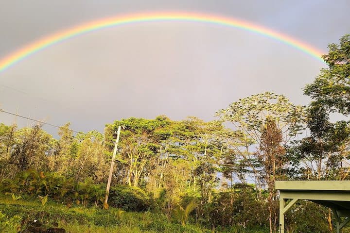 Hoomaikai Blessings photo 4