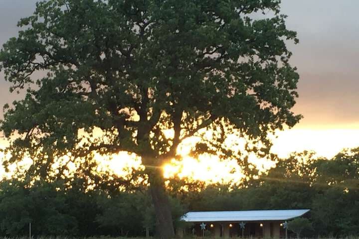 Night Bird Ranch photo 3