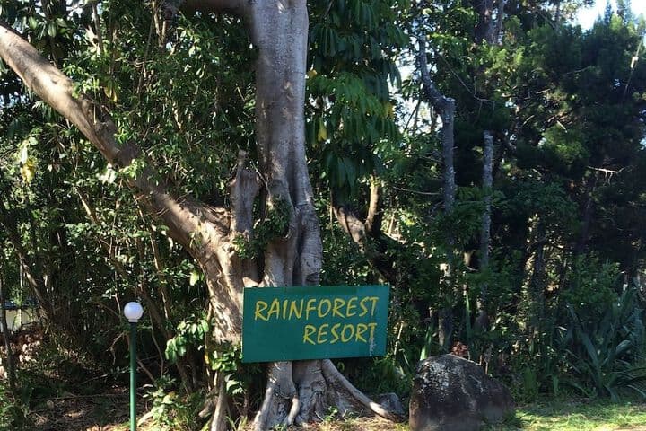 Byron Bay Rainforest Resort photo 4