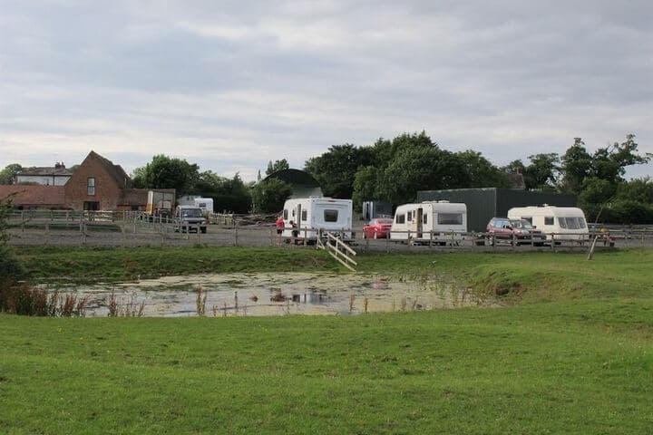 Bluebell Farm photo 3