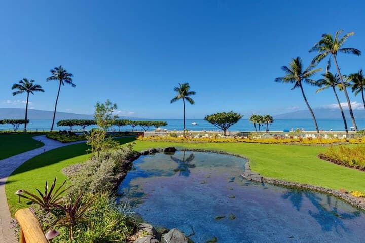 Aston at the Whaler on Kaanapali Beach photo 5