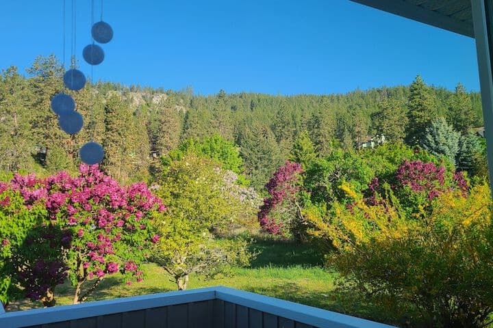 The Chirping Cricket Bed & Breakfast photo 5