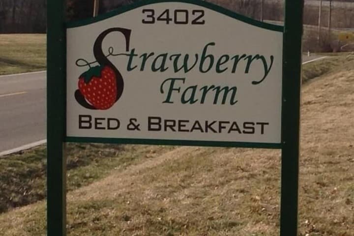 Strawberry Farm Bed & Breakfast photo 4