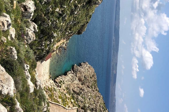 Villa Freedom photo 2