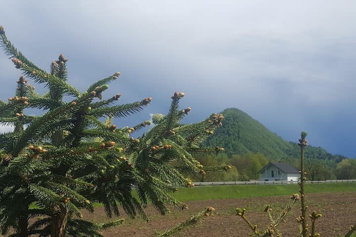 Pri Ancki photo 3